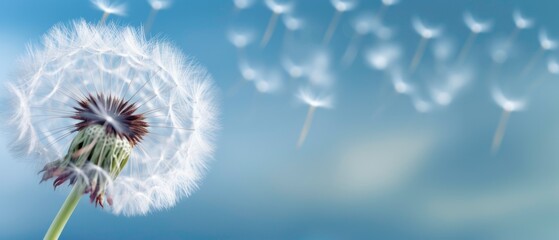 close up of dandelion on the blue background. generated by ai