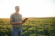 © Serhii - Agronomist inspecting soya bean crops growing in the farm field. Agriculture production concept. young agronomist examines soybean crop on field in summer. Farmer on soybean field