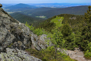 Fototapete - Der Osser im Bayerischen Wald, Osserwiese