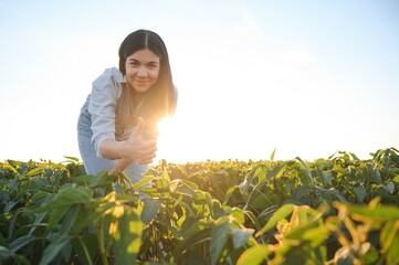 Wall Mural - Caucasian female farm worker inspecting soy at field summer evening time.