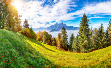 Wall Mural - amazing autumn viewof forest in suburb of stansstad city with mountaines and fog. poppular travel de