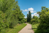Fototapeta Dziecięca - Walking path in the park area in clear, warm weather