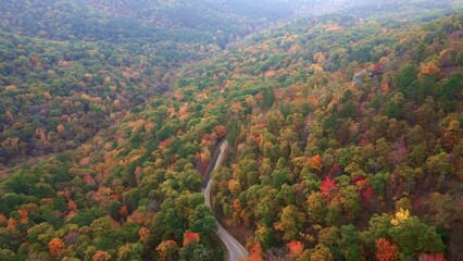 Wall Mural - Winding asphalt Ozark mountain road winds through Arkansas autumn forest with colorful trees and fall leaves colors