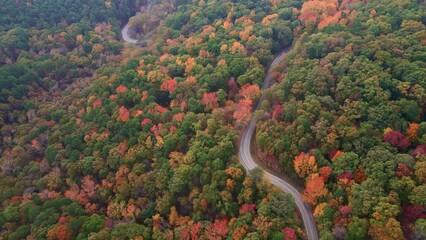 Wall Mural - Winding mountain road winds through autumn forest in the Ozark Mountings off Arkansas during fall 