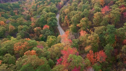 Wall Mural - White suv driving on winding curved asphalt mountain country road through autumn forest and fall trees
