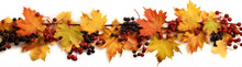 Horizontal Garland With Red, Orange, Brown And Yellow Autumn Leaves On A White Background. 