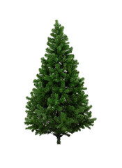 christmas tree, transparent background