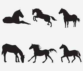 Wall Mural - Horse collection - vector silhouette