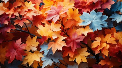 Wall Mural - colorful autumn leaves background