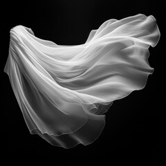 Wall Mural - white transparent veil on black background