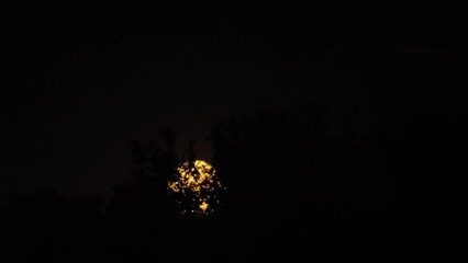 Wall Mural - a red dramatic moon in the dark sky. the hot air swirls in the moonlight