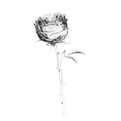 Canvas Print - Glass rose flower 3D