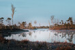 Hiking through wetlands in colorful morning sunrise. White dog samoyed running through swamp. Vibrant clouds in the sky.