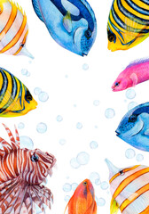 Wall Mural - Watercolor drawing rectangle frame from colorful fish: royal angel, lionfish, golden antias, butterfly fish, surgeonfish and friedman fish on white background with air bubbes. Underwater picture for