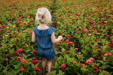 Young Girl Walking Through Path In Field Of Pink Zinnia Flowers