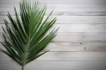 Wall Mural - Palm leaf on wooden background. Top view with copy space