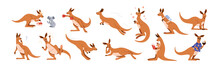 Cute Happy Kangaroo Characters Set. Funny Comic Marsupial Animal From Australia. Australian Mammal With Joey In Pouch, Jumping, Relaxing, Smiling. Flat Vector Illustration Isolated On White Background