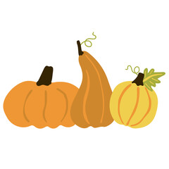 Three pumpkins and leaves on white. Decorative image of autumn vegetable and plant. Halloween, thanksgiving