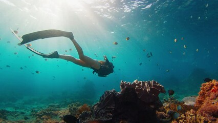 Poster - Woman freediver on reef. Young female freediver swims underwater and explores the healthy coral reef on the island of Nusa Penida in Bali, Indonesia