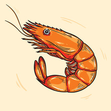 Fresh Shrimp On A White Background, Food Hand Drawn, Vector Illustration.