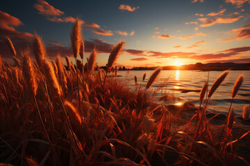 Poster - A golden sunset casting warm hues on a field of bulrushes, creating a magical and serene atmosphere.  Generative AI technology.