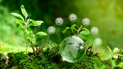 ESG europe 2025 Glass globe earth ball with sustainable development and environment, social, governance and business cooperation of global concept sustainable environment and social responsibility.