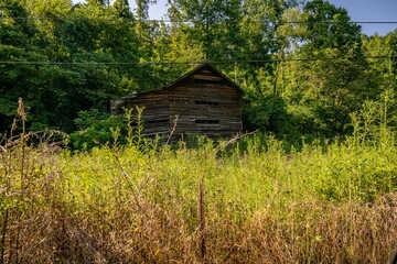 Wall Mural - barn