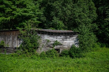 Wall Mural - barn