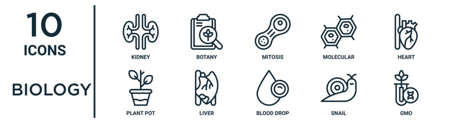biology outline icon set such as thin line kidney, mitosis, heart, liver, snail, gmo, plant pot icons for report, presentation, diagram, web design