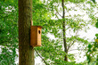 A wooden birdhouse hung on a tall tree among branches and luscious green leaves on a summer afternoon.