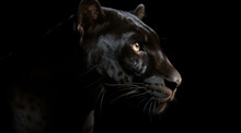 Black Panther On A Black Background, Created With Generative AI Technology.