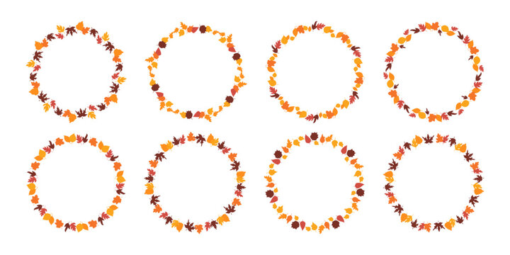 Fall round frames from autumn botanical leaves. Set of autumn leaves circle frame, herbal elements. Fall orange leaves. Can be used as decorations for Back to School, Halloween or Thanksgiving.