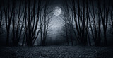Fototapeta Las - full moon over dark spooky forest at night