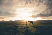 A Horse Driver And Horse With Sunset, Magic Lights