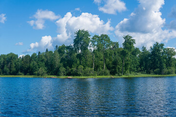 Wall Mural - waterscape, wooded shore of the lake, view from the water on a sunny day