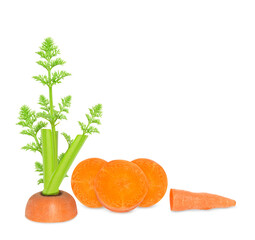 Wall Mural - Sliced carrot set isolated on white background. Design elements with clipping path