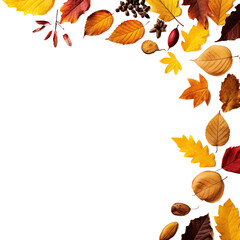 Wall Mural - autumn leaves border