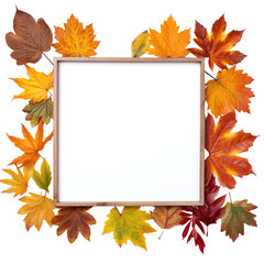 Wall Mural - autumn leaves frame