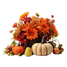 Autumn Still Life With Pumpkins And Flowers