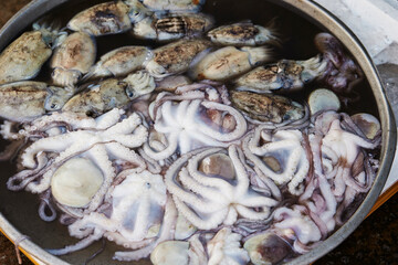 Wall Mural - Fresh seafood in traditional market