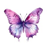 Fototapeta Motyle - Purple butterfly isolated on white background