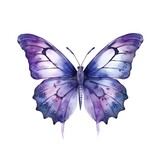 Fototapeta Motyle - Purple butterfly isolated on white background