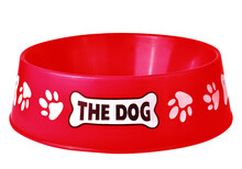 Empty Pets Red Bowl Isolated On  Transparent .