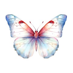 Wall Mural - White butterfly isolated on white background