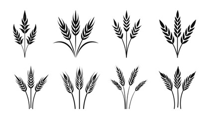 Wall Mural - Wheat set ears of wheat logo icon on white background. Vector illustration