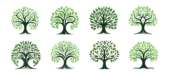 Wall Mural - tree of life set on white background. vector illustration