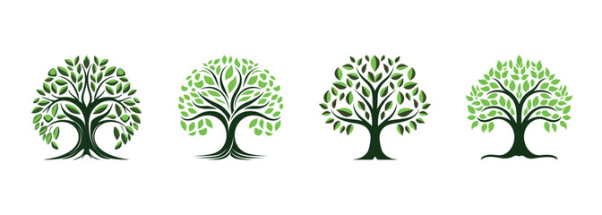 Tree of life set on white background. Vector illustration