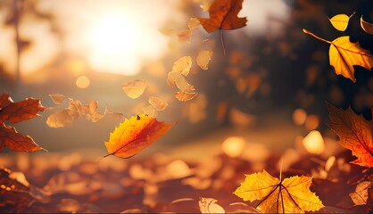 Autumn Background with Colorful Orange Leaves and Branches, Falling to the Ground, Template with Space for Copy