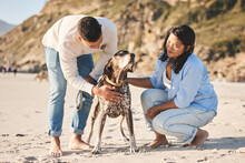 Beach, Happy And Couple With Dog By Ocean For Freedom, Adventure And Bonding Together In Nature. Happy Pet, Domestic Animal And Man And Woman Play By Sea For Exercise, Wellness And Walking In Nature
