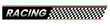 Black racing wings logo on white background. Motorsports concept Checkered flag racing. Vector illustration for design.